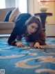 A woman laying on the floor in a hotel room.